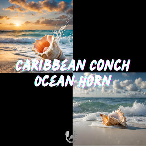 Caribbean Conch Ocean Horn - Synth Instrument