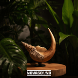 Caribbean Conch Shell Master Collection - Instruments and Sound FX