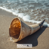 Caribbean Conch Shell Master Collection - Instruments and Sound FX