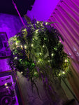 LED Twinkle Fairy Lights 32 FT - Nova Sound