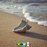 Caribbean Conch Shell Master Collection - Instruments and Sound FX