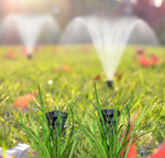 Sprinkler Key Hider