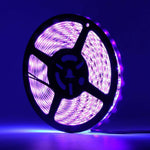 LED Black Lighting Strip (16 FT) with Remote - Nova Sound