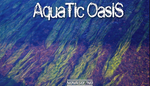 Aquatic Oasis Soundscapes - Water Sound FX